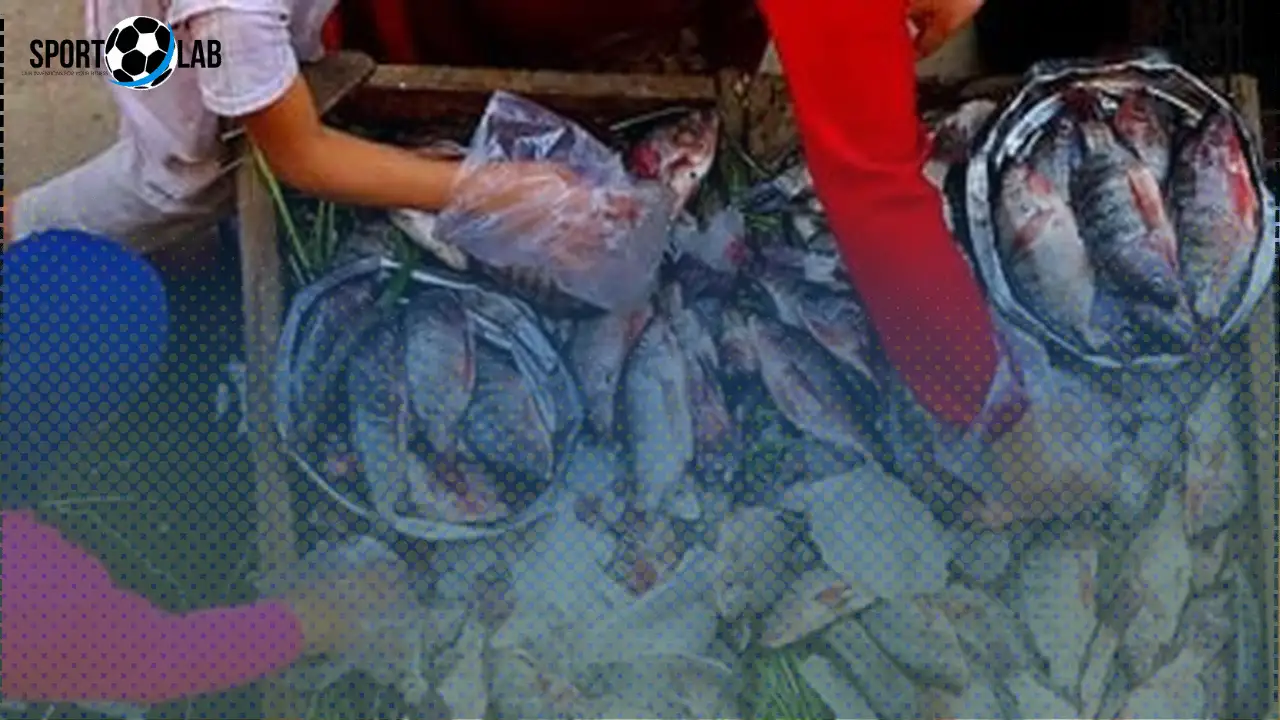 أسعار كيلو البلطي في كفر الشيخ الجمعة 21 نوفمبر 2025